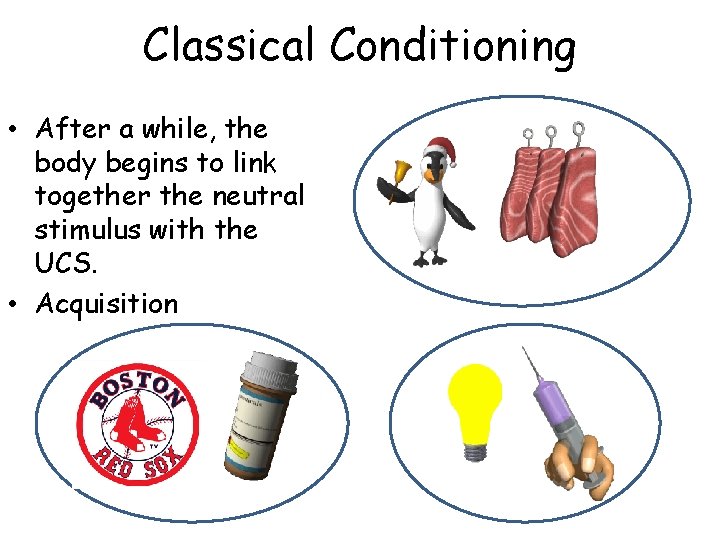 Classical Conditioning • After a while, the body begins to link together the neutral