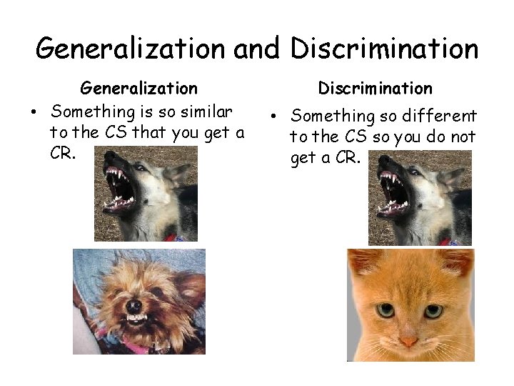 Generalization and Discrimination Generalization • Something is so similar to the CS that you