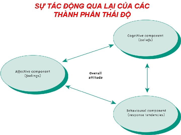 SỰ TÁC ĐỘNG QUA LẠI CỦA CÁC THÀNH PHẦN THÁI ĐỘ 4 