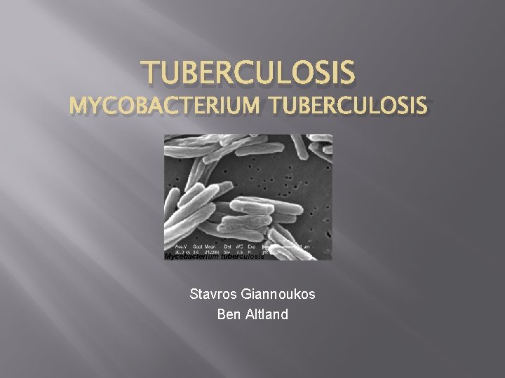 TUBERCULOSIS MYCOBACTERIUM TUBERCULOSIS Stavros Giannoukos Ben Altland 