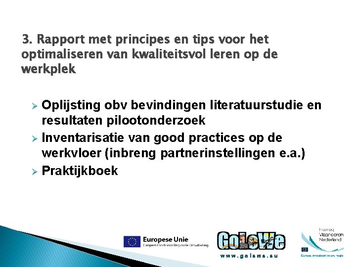 3. Rapport met principes en tips voor het optimaliseren van kwaliteitsvol leren op de