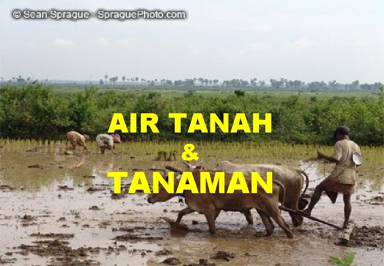 AIR TANAH & TANAMAN 1 