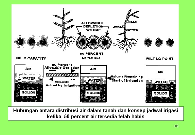 Hubungan antara distribusi air dalam tanah dan konsep jadwal irigasi ketika 50 percent air