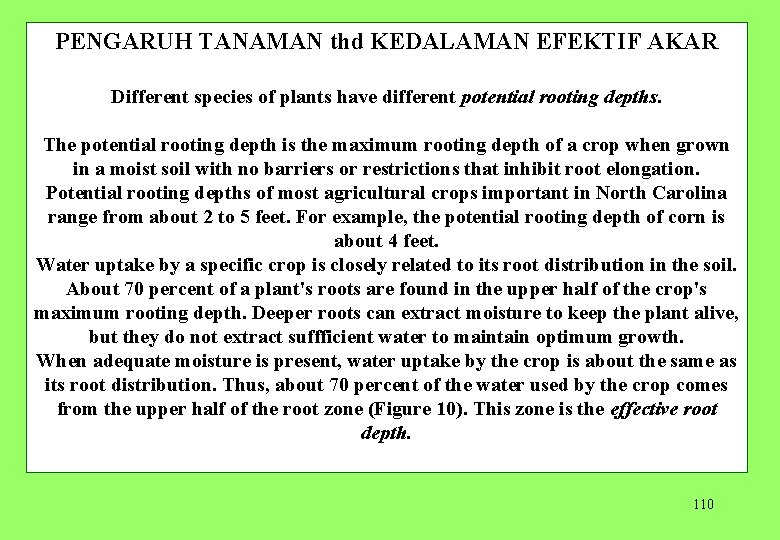 PENGARUH TANAMAN thd KEDALAMAN EFEKTIF AKAR Different species of plants have different potential rooting
