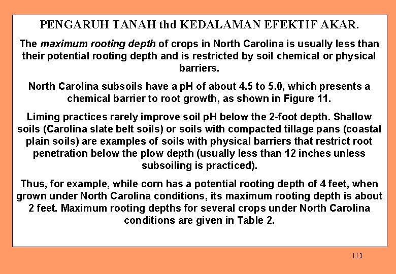 PENGARUH TANAH thd KEDALAMAN EFEKTIF AKAR. The maximum rooting depth of crops in North