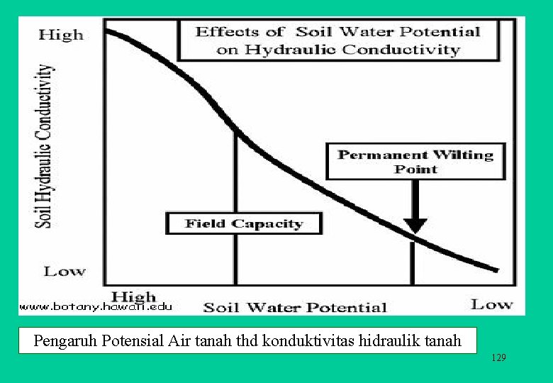 Pengaruh Potensial Air tanah thd konduktivitas hidraulik tanah 129 