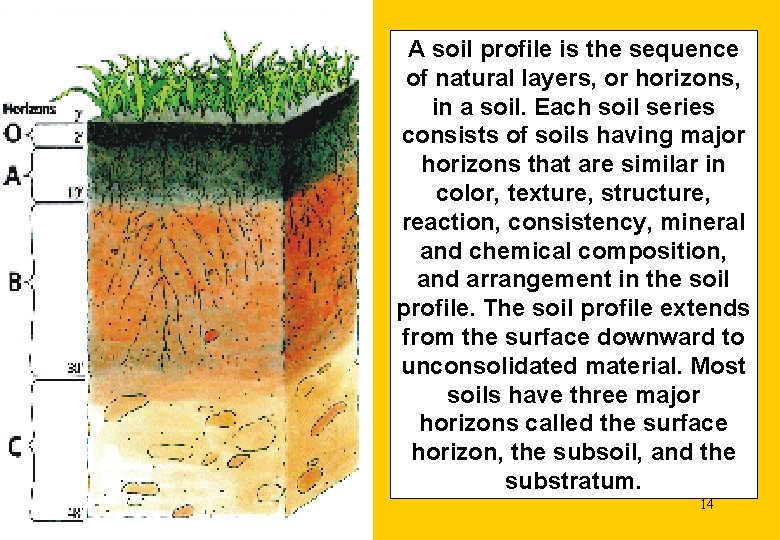 A soil profile is the sequence of natural layers, or horizons, in a soil.