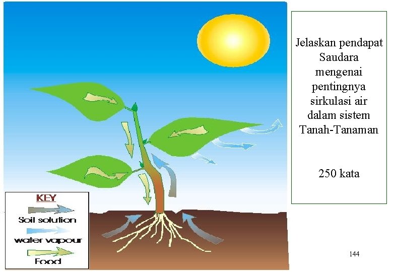 Jelaskan pendapat Saudara mengenai pentingnya sirkulasi air dalam sistem Tanah Tanaman 250 kata 144