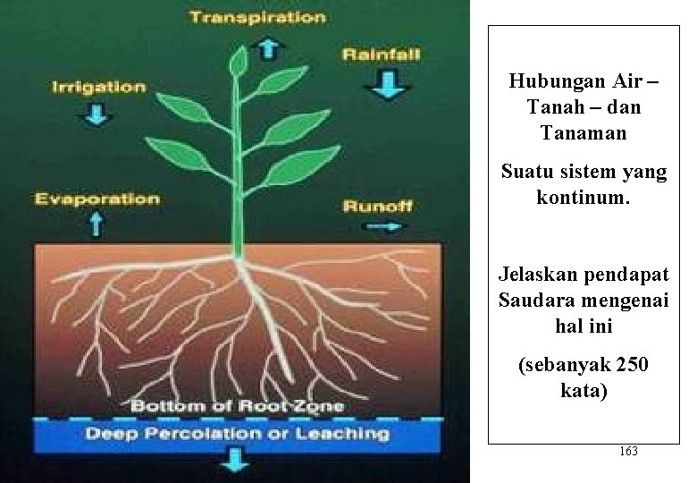 Hubungan Air – Tanah – dan Tanaman Suatu sistem yang kontinum. Jelaskan pendapat Saudara