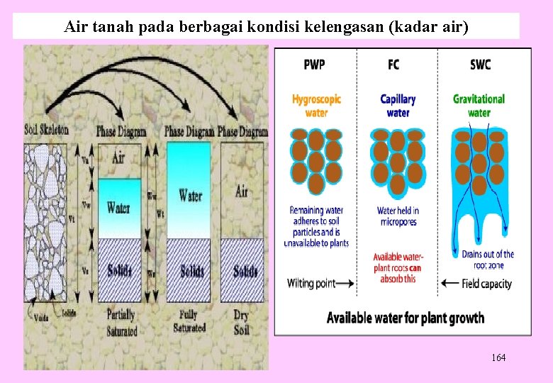 Air tanah pada berbagai kondisi kelengasan (kadar air) 164 