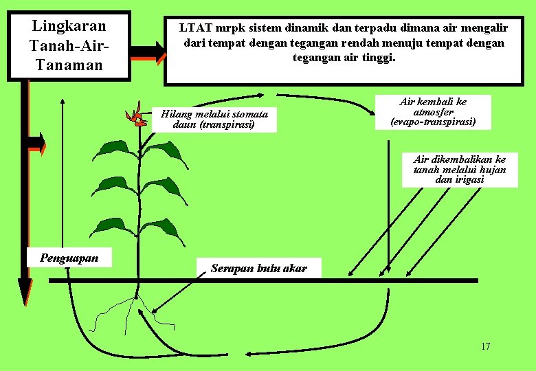 Lingkaran Tanah Air Tanaman LTAT mrpk sistem dinamik dan terpadu dimana air mengalir dari