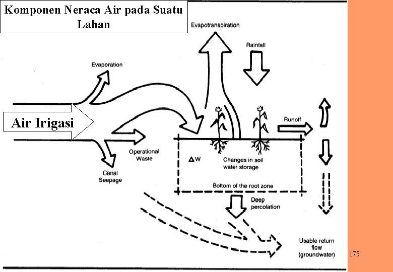 Komponen Neraca Air pada Suatu Lahan Air Irigasi 175 