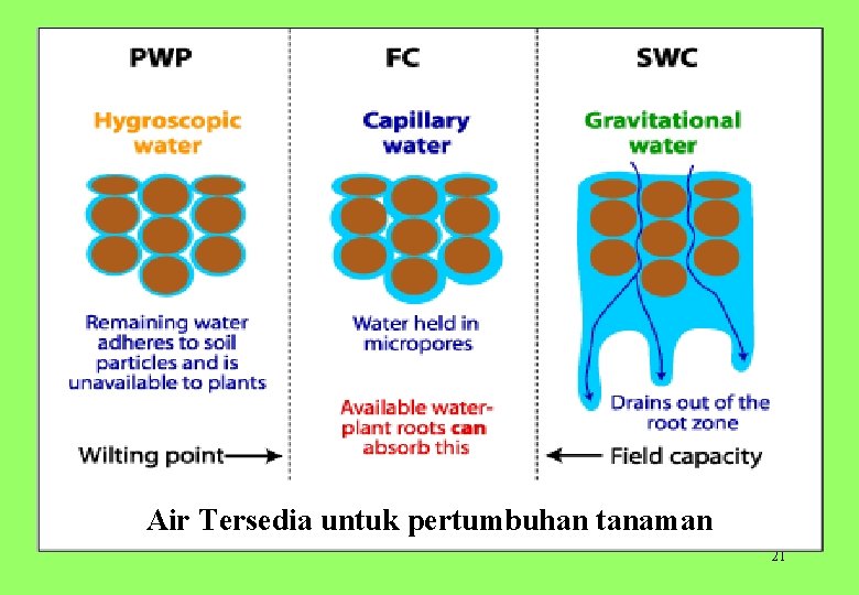 Air Tersedia untuk pertumbuhan tanaman 21 