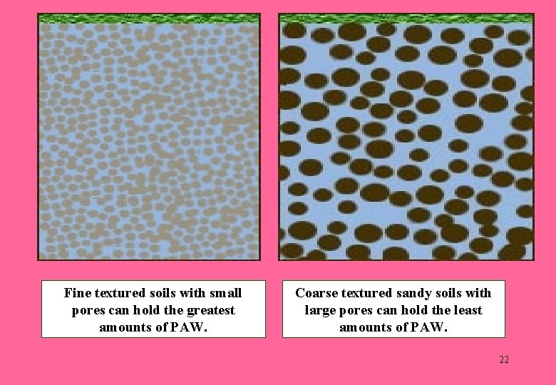 ). Fine textured soils with small pores can hold the greatest amounts of PAW.