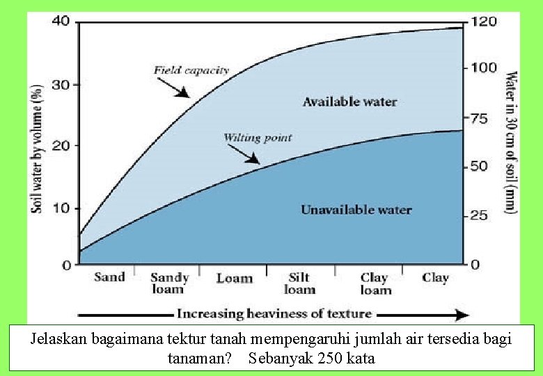 Jelaskan bagaimana tektur tanah mempengaruhi jumlah air tersedia bagi 38 tanaman? Sebanyak 250 kata