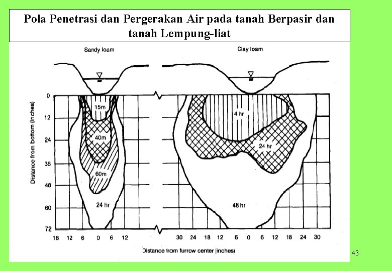 Pola Penetrasi dan Pergerakan Air pada tanah Berpasir dan tanah Lempung liat 43 