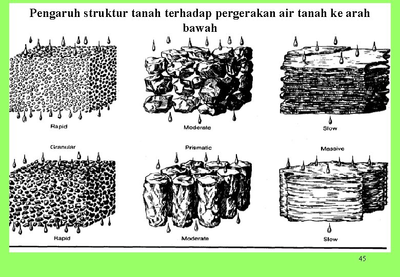 Pengaruh struktur tanah terhadap pergerakan air tanah ke arah bawah 45 