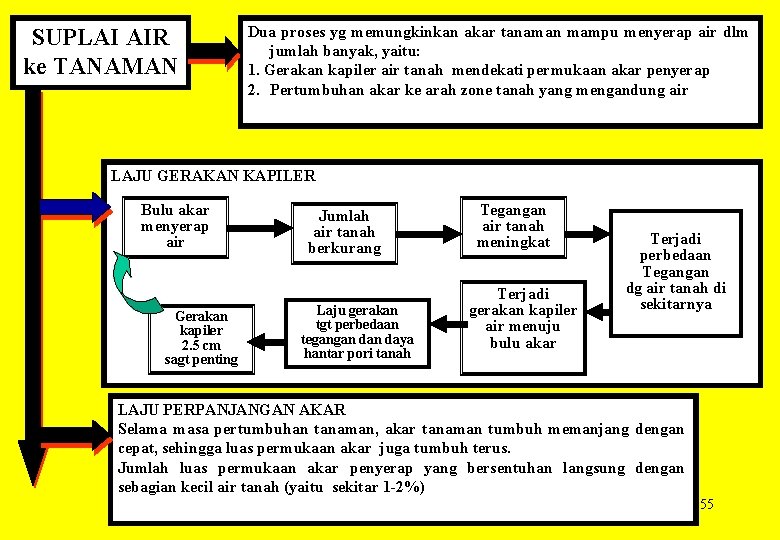SUPLAI AIR ke TANAMAN Dua proses yg memungkinkan akar tanaman mampu menyerap air dlm