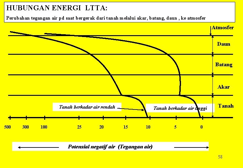 HUBUNGAN ENERGI LTTA: Perubahan tegangan air pd saat bergerak dari tanah melalui akar, batang,