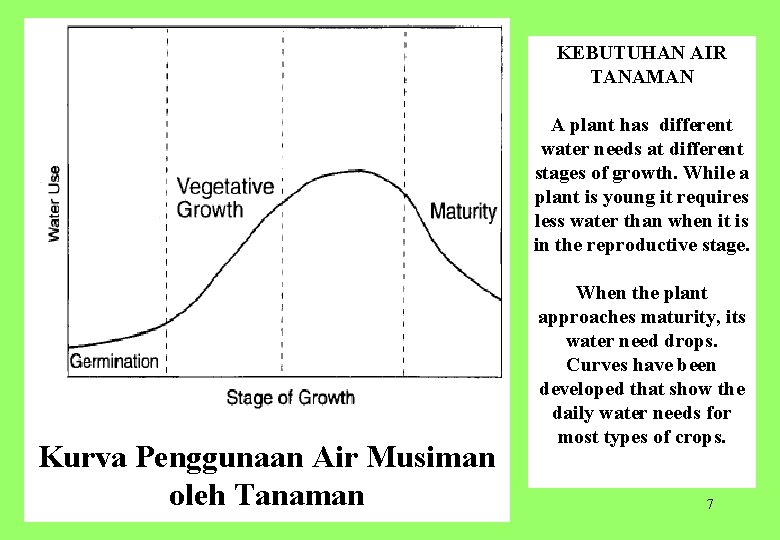 KEBUTUHAN AIR TANAMAN A plant has different water needs at different stages of growth.