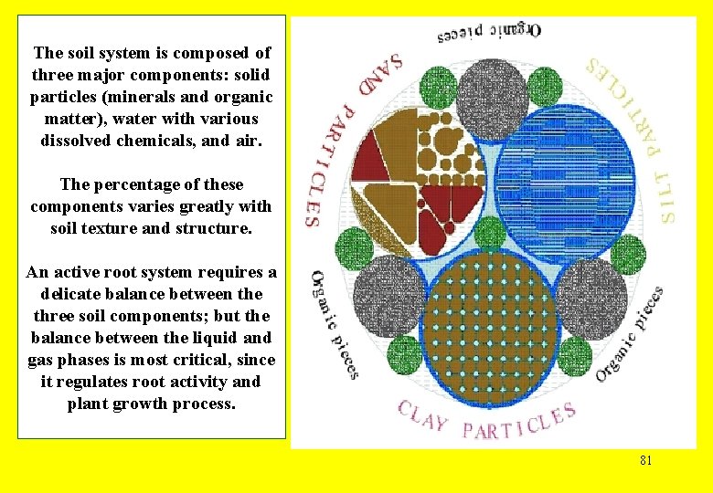 The soil system is composed of three major components: solid particles (minerals and organic