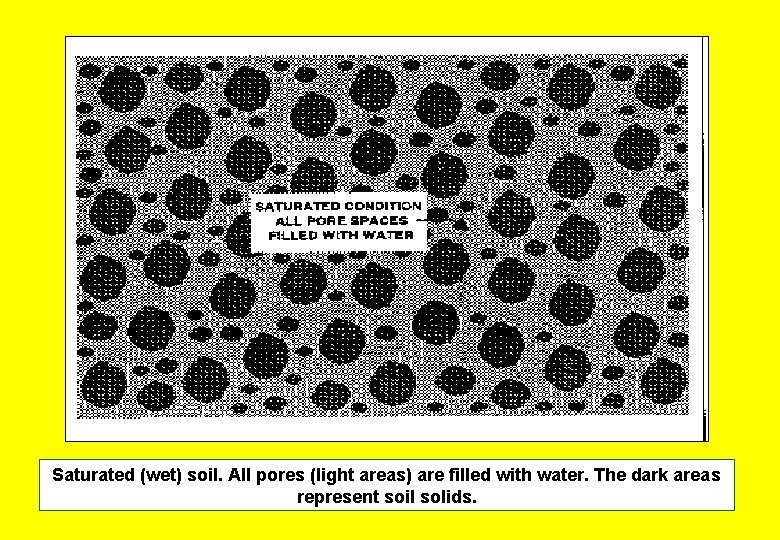 Saturated (wet) soil. All pores (light areas) are filled with water. The dark areas