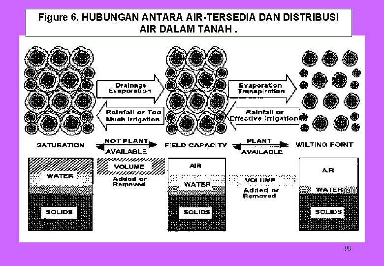 Figure 6. HUBUNGAN ANTARA AIR-TERSEDIA DAN DISTRIBUSI AIR DALAM TANAH. 99 