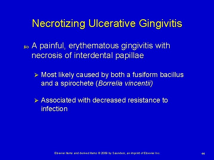 Necrotizing Ulcerative Gingivitis A painful, erythematous gingivitis with necrosis of interdental papillae Ø Most