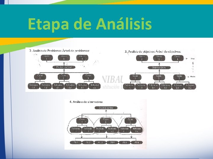 Etapa de Análisis Etapa de Análisis
