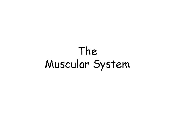The Muscular System 
