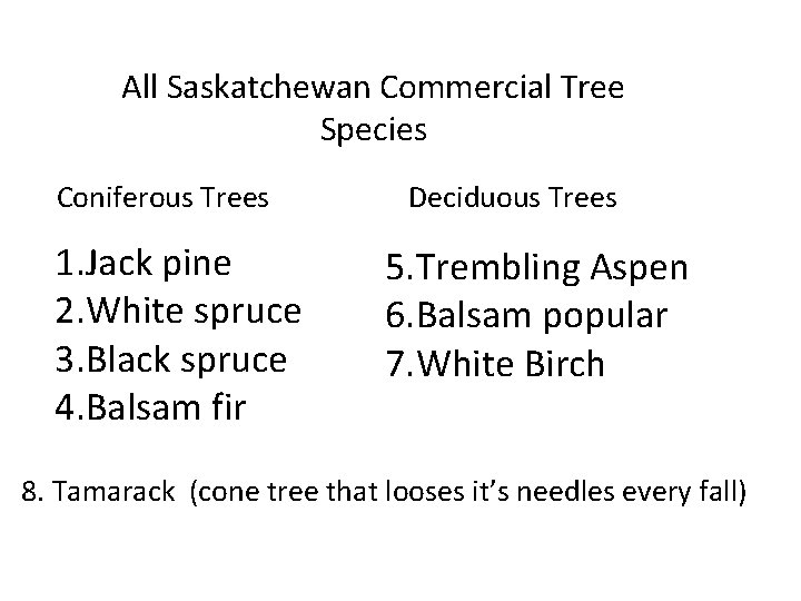 All Saskatchewan Commercial Tree Species Coniferous Trees 1. Jack pine 2. White spruce 3.