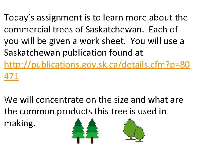 Today’s assignment is to learn more about the commercial trees of Saskatchewan. Each of