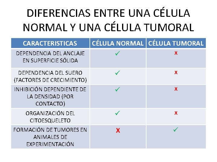 DIFERENCIAS ENTRE UNA CÉLULA NORMAL Y UNA CÉLULA TUMORAL CARACTERISTICAS DEPENDENCIA DEL ANCLAJE EN