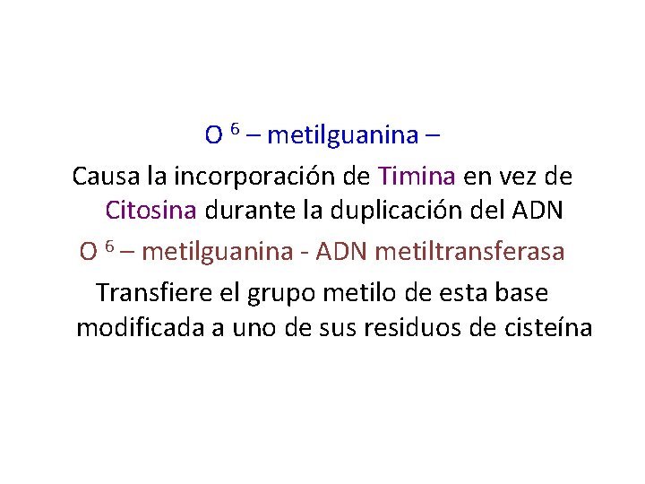 O 6 – metilguanina – Causa la incorporación de Timina en vez de Citosina
