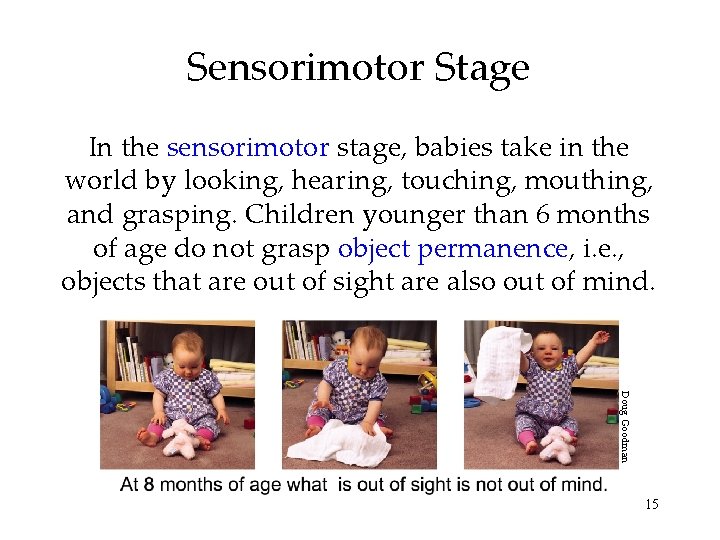 Sensorimotor Stage In the sensorimotor stage, babies take in the world by looking, hearing,