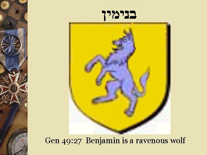 Gen 49: 27 Benjamin is a ravenous wolf 