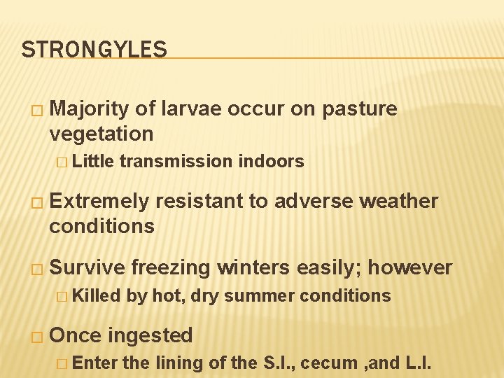 STRONGYLES � Majority of larvae occur on pasture vegetation � Little transmission indoors �