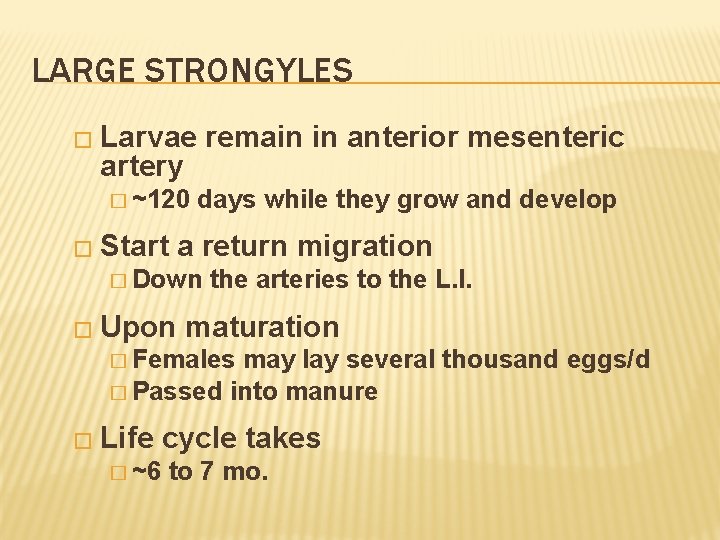 LARGE STRONGYLES � Larvae remain in anterior mesenteric artery � ~120 � Start days