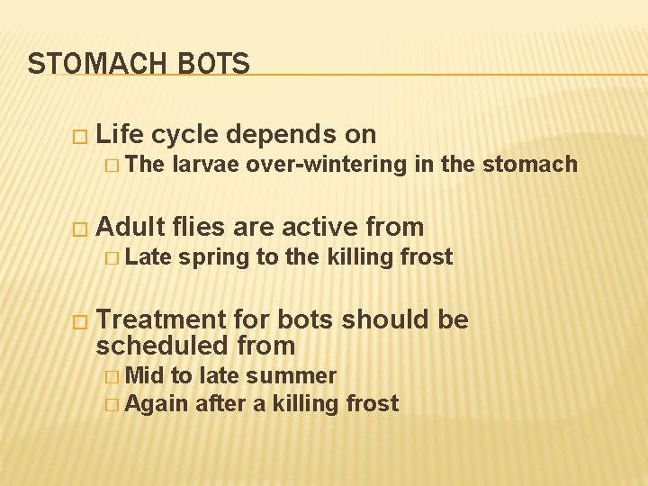 STOMACH BOTS � Life cycle depends on � The � Adult larvae over-wintering in