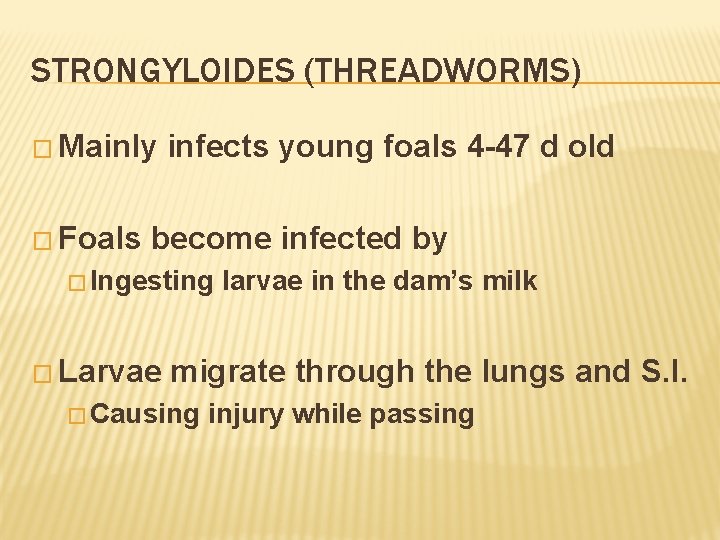 STRONGYLOIDES (THREADWORMS) � Mainly � Foals infects young foals 4 -47 d old become