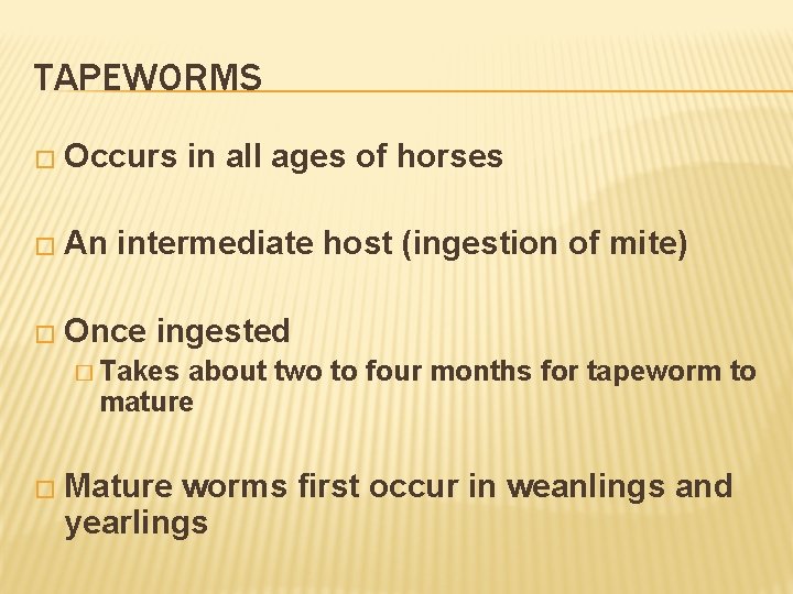TAPEWORMS � Occurs � An in all ages of horses intermediate host (ingestion of