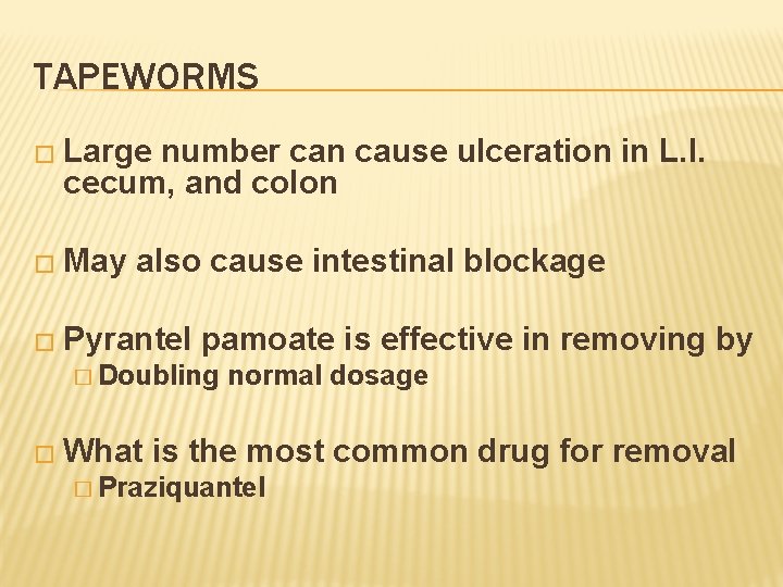 TAPEWORMS � Large number can cause ulceration in L. I. cecum, and colon �