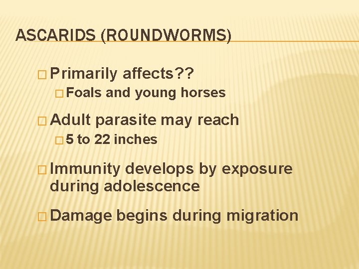 ASCARIDS (ROUNDWORMS) � Primarily � Foals � Adult � 5 affects? ? and young