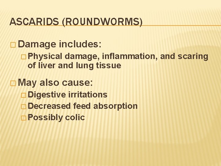 ASCARIDS (ROUNDWORMS) � Damage includes: � Physical damage, inflammation, and scaring of liver and