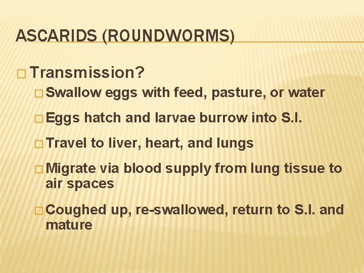 ASCARIDS (ROUNDWORMS) � Transmission? � Swallow � Eggs eggs with feed, pasture, or water