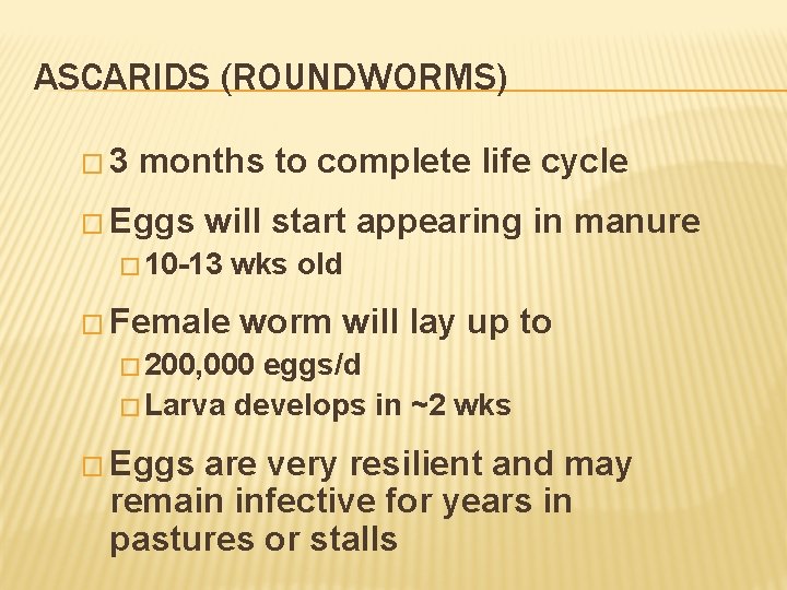 ASCARIDS (ROUNDWORMS) � 3 months to complete life cycle � Eggs will start appearing