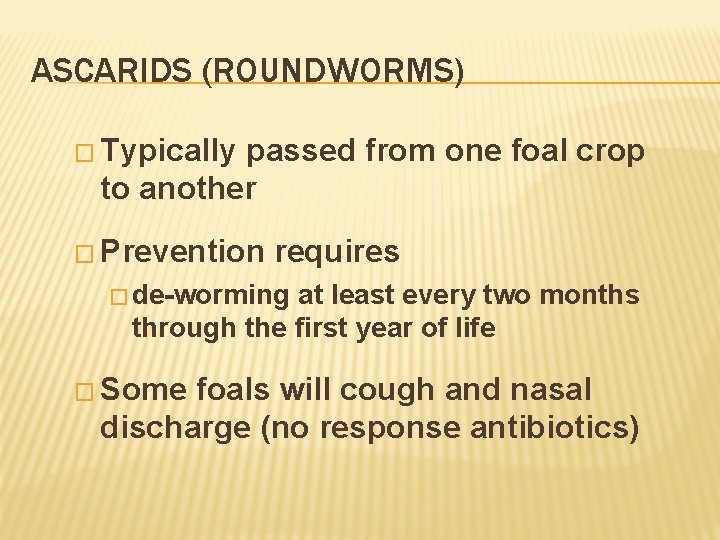 ASCARIDS (ROUNDWORMS) � Typically passed from one foal crop to another � Prevention requires