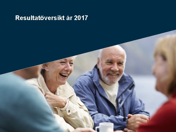 Resultatöversikt år 2017 