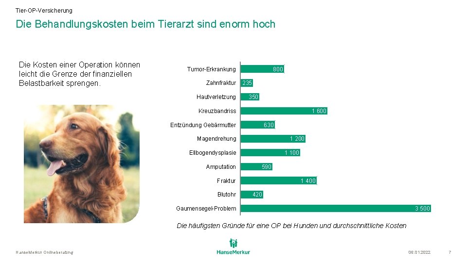 Tier-OP-Versicherung Die Behandlungskosten beim Tierarzt sind enorm hoch Die Kosten einer Operation können leicht