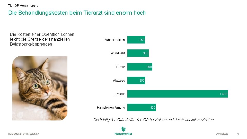 Tier-OP-Versicherung Die Behandlungskosten beim Tierarzt sind enorm hoch Die Kosten einer Operation können leicht